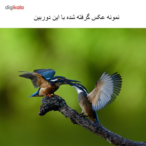 دوربین نیکون دوربین دیجیتال نیکون D610 بدنه تنها   20.0  50.0 مگاپیکسل 